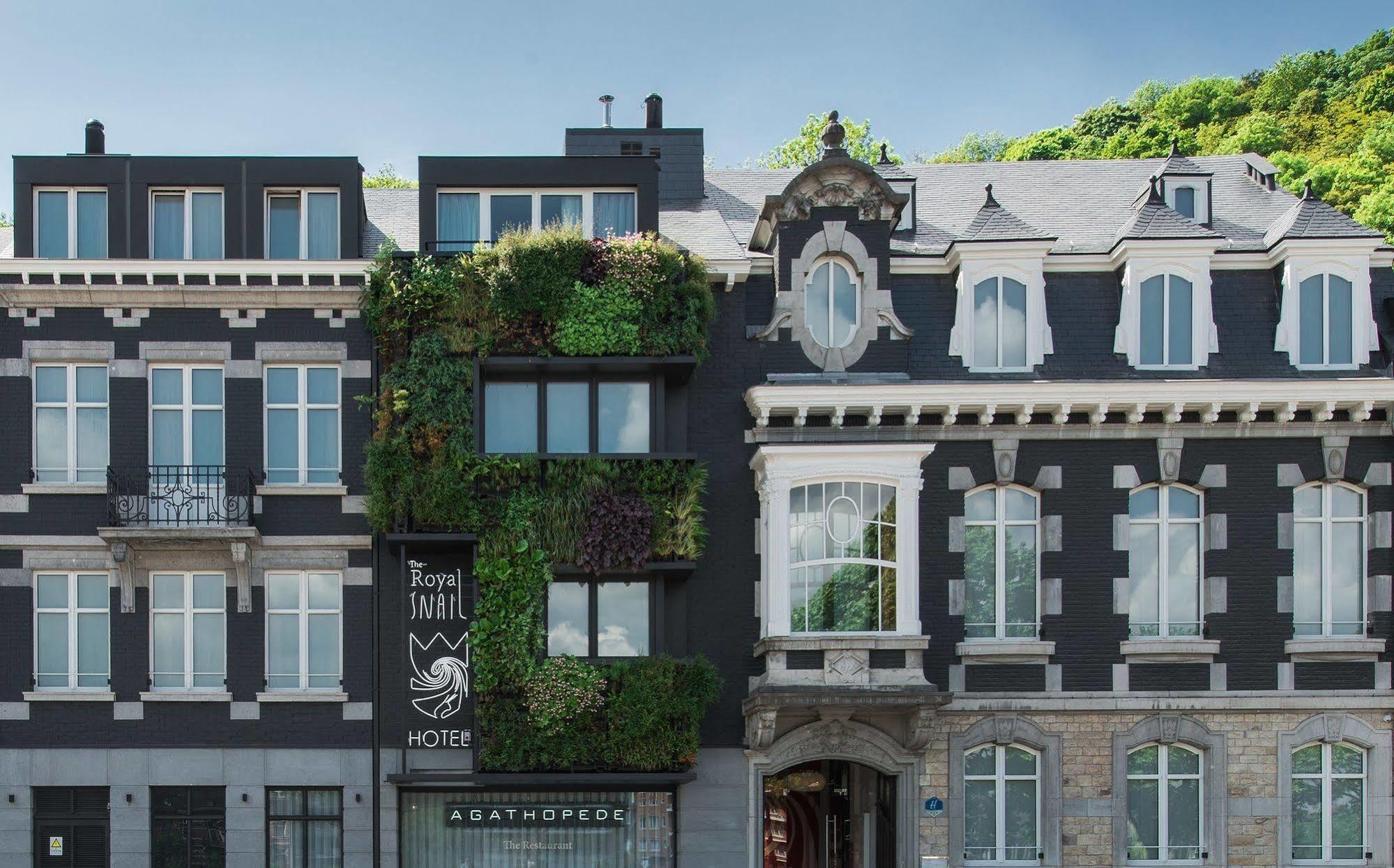 The Royal Snail Hotel